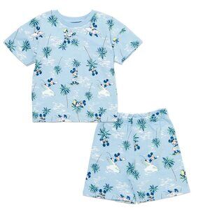 Disney French Terry T-Shirt and Shorts Set Small 5/6